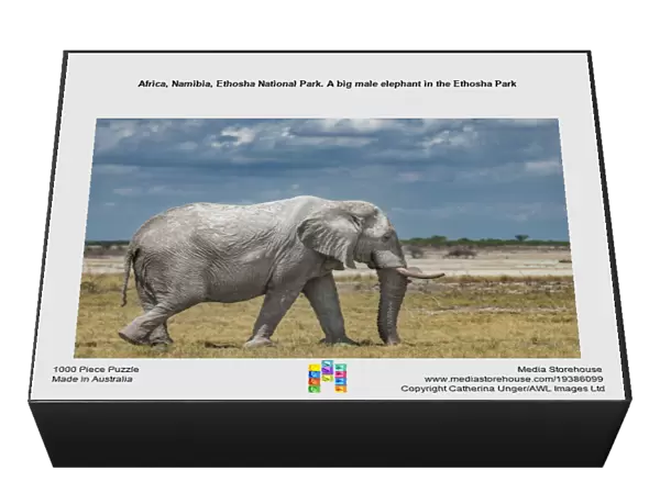 Africa, Namibia, Ethosha National Park. A big male elephant in the Ethosha Park