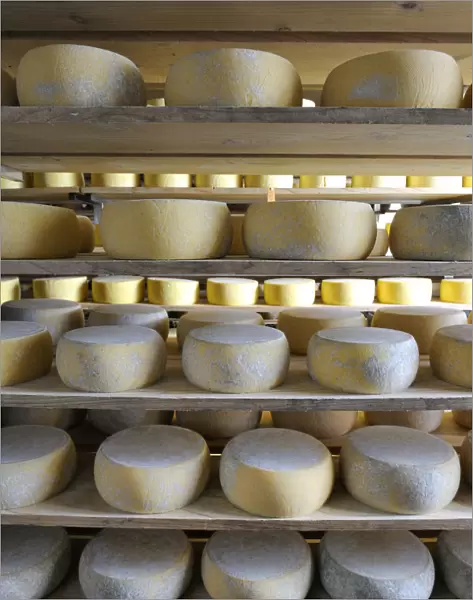 Canada, manufacturing house of the famous Sao Jorge traditional cheese, Santo Amaro