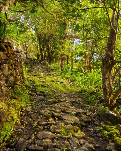 Portugal, Azores, Flores, Old Trail between Mosteiro and Lajedo