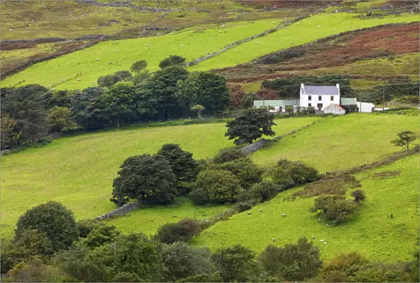 Ireland, Co. Donegal, Inishowen, Dunree, house in rural setting