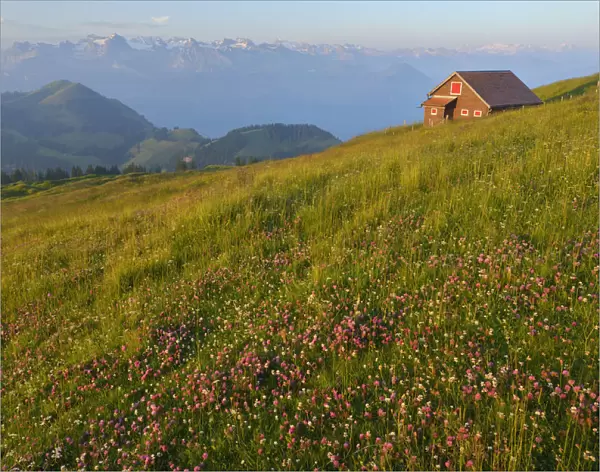 On top of Mount Rigi, Switzerland, North-Eastern Swiss Alps, Europe