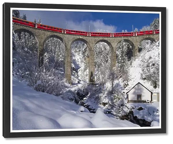 Iconic swiss red Bernina Express train in winter landscape and pristine snow. Swizerland