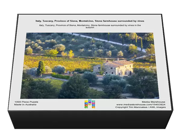 Italy, Tuscany, Province of Siena, Montalcino, Stone farmhouse surrounded by vines