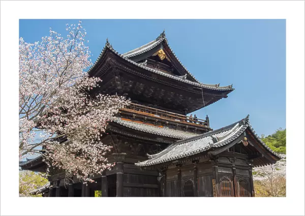 Nanzenji Temple with blooming cherry tree, Kyoto, Japan
