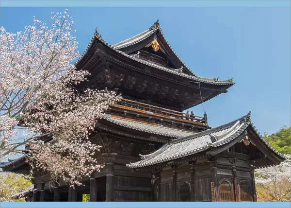 Nanzenji Temple with blooming cherry tree, Kyoto, Japan
