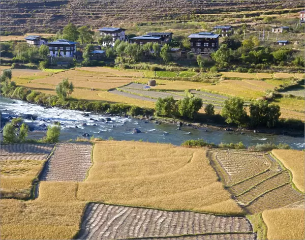 Namseling, nr Paro, Bhutan