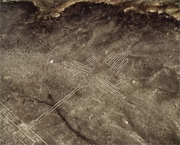 The Humming Bird Geoglyph, aerial view, Nazca, Ica Region, Peru