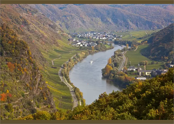 Ernst & Mosel River, Rhineland  /  Mosel Valley, Germany