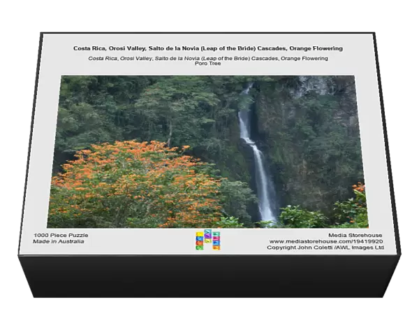 Costa Rica, Orosi Valley, Salto de la Novia (Leap of the Bride) Cascades, Orange Flowering