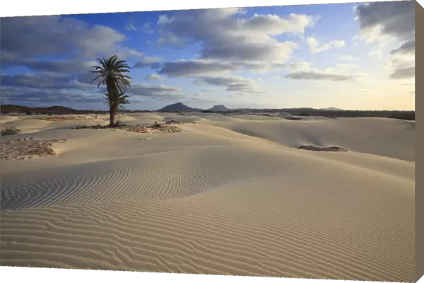 Cape Verde, Boavista, Rabil, Viana Desert
