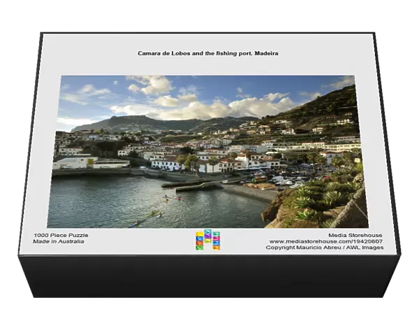Camara de Lobos and the fishing port. Madeira