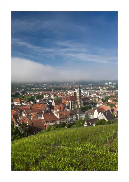 Germany, Baden-Wurttemberg, Esslingen-Am-Neckar, town view from vineyards