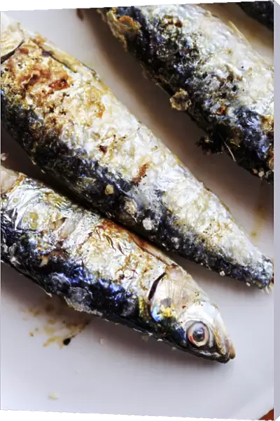 Europe, Iberia, Portugal, The Alentejo, sardines on a plate in Portugal
