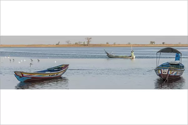 Africa, Senegal, Sine-Saloum-Delta. Fisherman in the delta