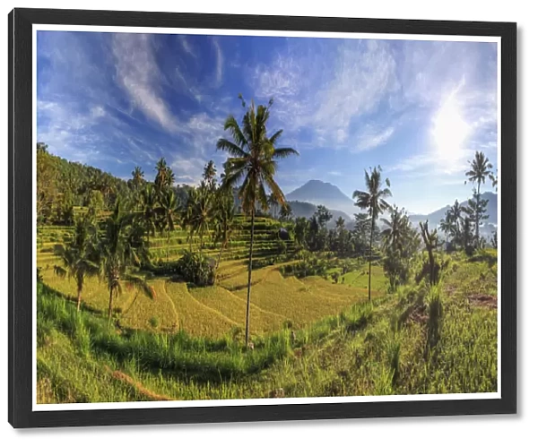 Indonesia, Bali, Sidemen, Rice Fields and Gunung Agung Volcano