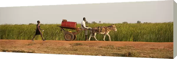 Unity State, South Sudan. Transporting goods in Leer
