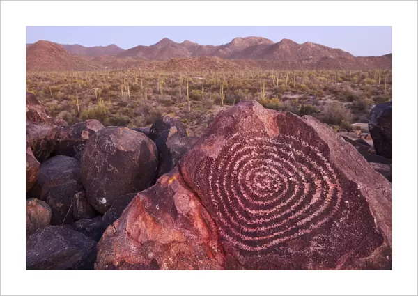 USA, Arizona, Tucson, Sonoran desert, Saguaro National Park, Ancient Petroglyph at dusk