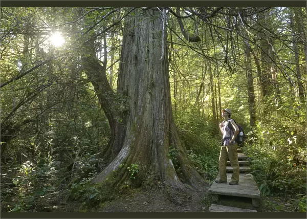 Woman hiker standing in Forest at Cape Alava, Olympic National Park, Clallam County