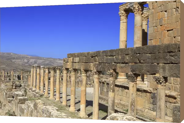 Temple of Gens Septimia, Ruins of ancient city Cuicul, Djemila, Setif Province, Algeria