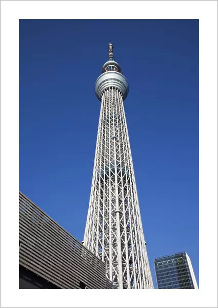 Japan, Tokyo, Asakusa, Sky Tree Tower, Architect Nikken Sekkei