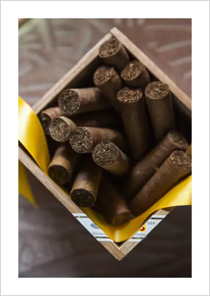 Cuba, Pinar del Rio Province, Pinar del Rio, Cuban Cigars at the Casa del Habano shop