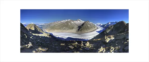 Switzerland, Valais, Jungfrau Region, Aletsch Glacier from Mt. Eggishorn (UNESCO site)