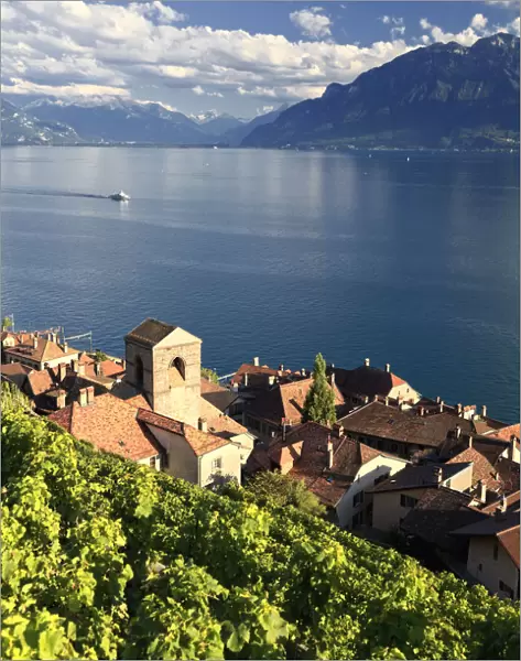 Switzerland, Vaud, Lavaux Vineyards, St. Saphorin Village and Lac Leman  /  Lake Geneva