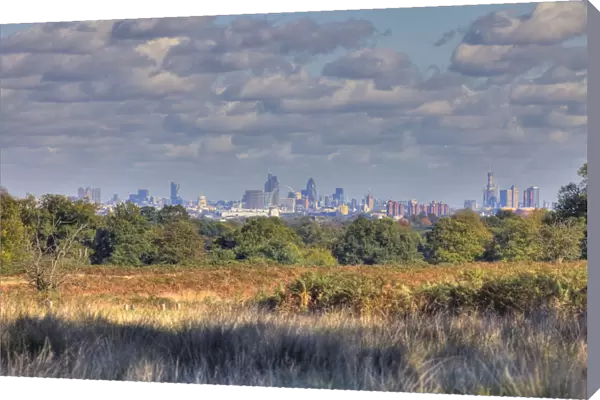 Central London skyline from Richmond Park, London, England