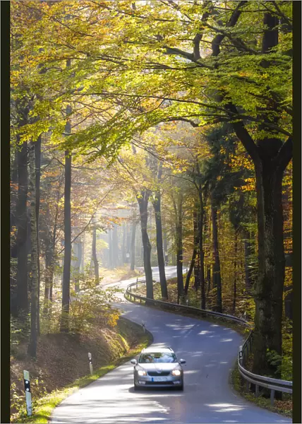 Road through autumn woodland, Saxon Switzerland, Saxony, Germany
