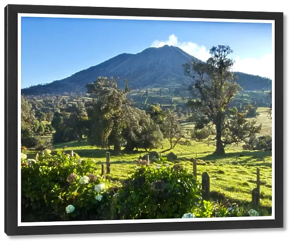 Costa Rica, Turrialba Volcano, Smoking Fumorales, Mountain Cloud Forest, Hedgerow