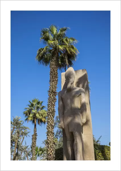 Ramses II statue, Memphis (capital of Ancient Egypt), Nr. Cairo, Egypt