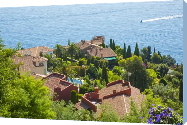 Esterel, Alpes-Maritimes, Provence-Alpes-Cote D Azur, French Riviera, France