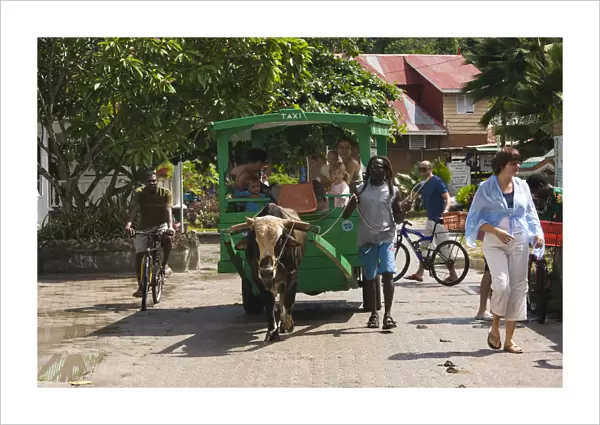 Seychelles, La Digue Island, La Passe, traditional oxcart taxi