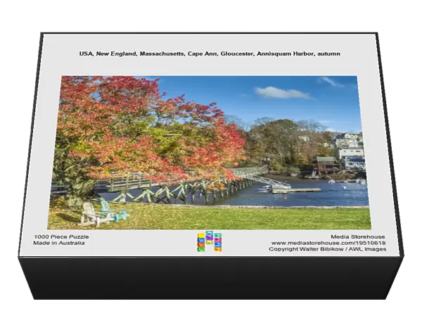 USA, New England, Massachusetts, Cape Ann, Gloucester, Annisquam Harbor, autumn