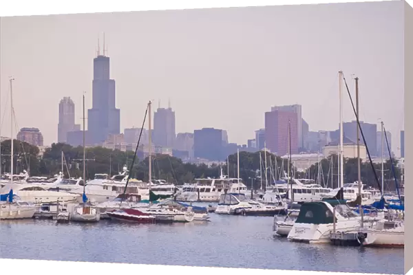 Illinois, Chicago, Skyline including Sears Tower