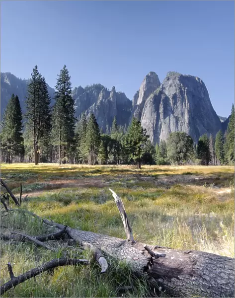 USA, California, Yosemite National Park, Yosemite Valley and Cathedral Spires