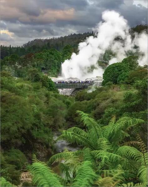 A geyser in Whakarewarewa park in Rotorua, New Zealand