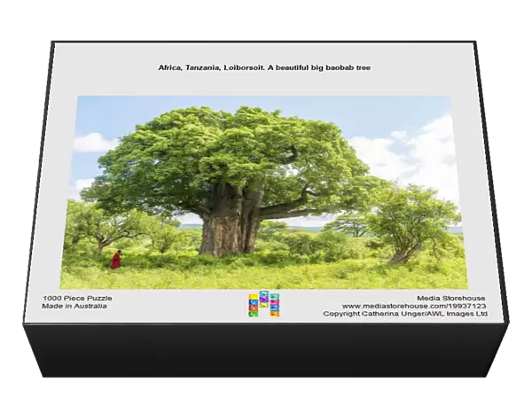 Africa, Tanzania, Loiborsoit. A beautiful big baobab tree
