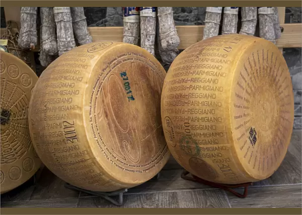 The marked wheels of Parmigiano-Reggiano (Parmesan) cheese. Parma, Emilia Romagna, Italy