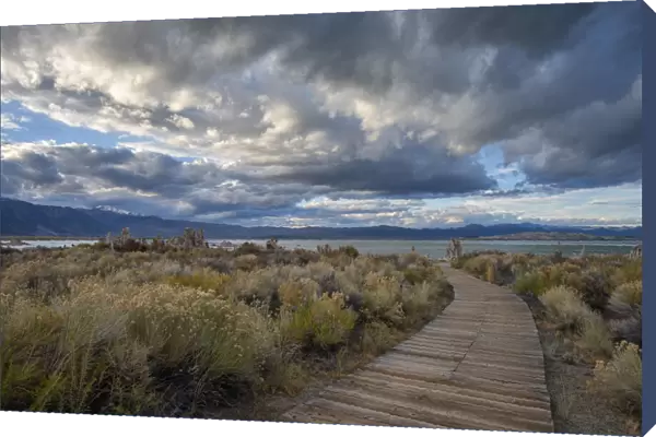 USA, California, Eastern Sierra, Lee Vining, boardwalk at Mono lake