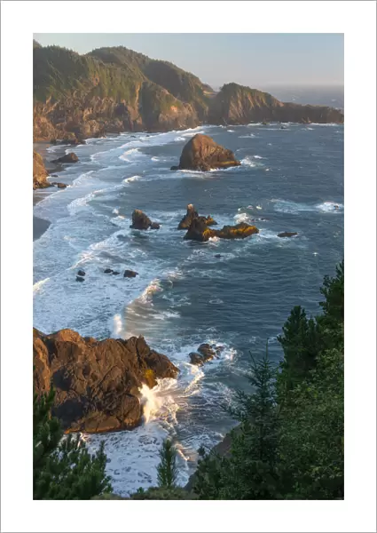 USA; West Coast; Oregon; Samuel H. Boardman; State Park, coastal cove