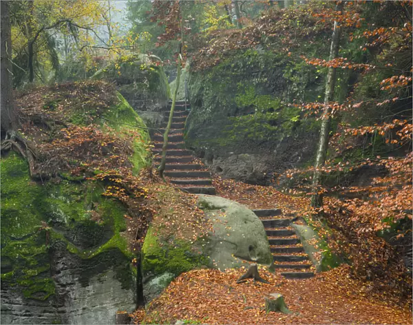 Stairs on a hiking trail in the forest in autumn, Hruba Skala, Semily District, Liberec Region, Bohemia, Czech Republic