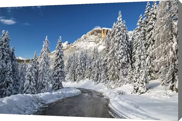 Alpine Road in Fresh Snowfall, Belluno Province, Veneto, Dolomites, Italy