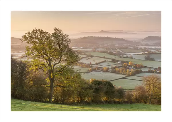 View from the Mendips over frost covered Somerset Levels towards Glastonbury Tor