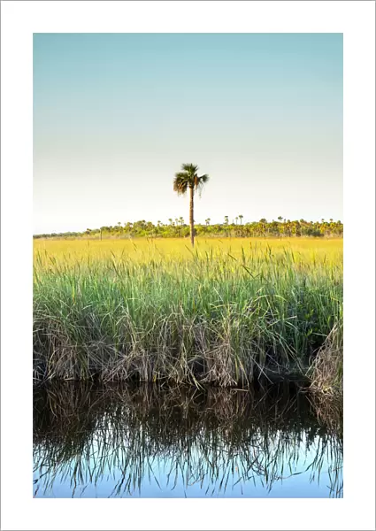 USA, Florida, Everglades, Sawgrass Prairies, River Of Grass, Everglades National Park