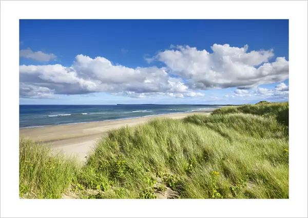 Dune landscape - United Kingdom, Scotland, Caithness, Sinclair Bay