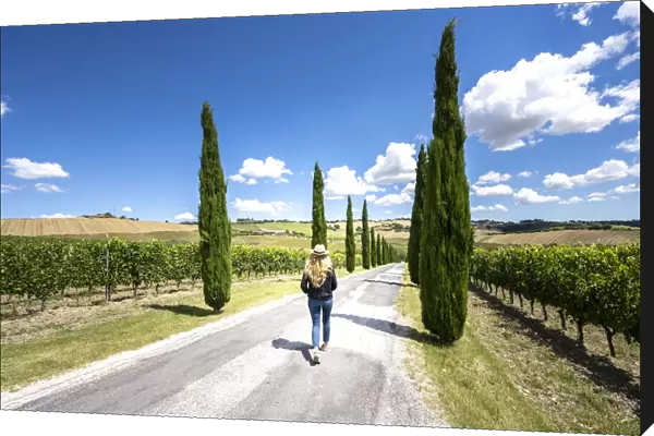 A girl walking under the sun into wineyards landscape near Macerata, Marche region, Italy