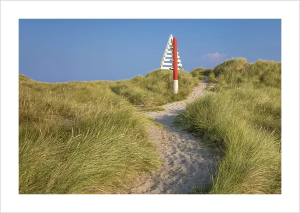 Path to the dune in the Ellenbogen nature reserve, Sylt, Schleswig-Holstein, Germany