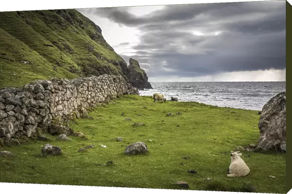 Field stone wall in Talisker Bay, Minginish Peninsula, Isle of Skye, Highlands, Scotland