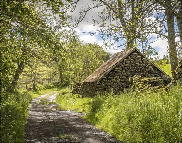 Country road with stone hut at Blacklunans, Blairgowrie, Perth and Kinross, Scotland